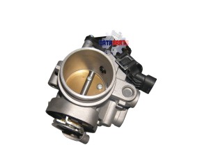THROTTLE BODY ASSEMBLY (MARK "D46F-1")