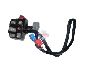 LEFT HANDLE SWITCH (ZN)