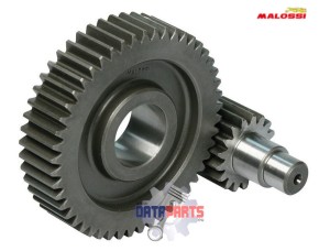 SECONDARY GEAR MALOSSI 17/49