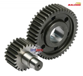 SECONDARY GEAR MALOSSI 22/45