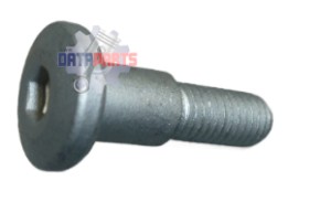 Schraube Fußrastenhalter vorne