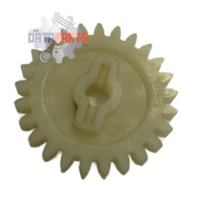 Zahnrad, Wasserpumpe