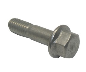 FLANGE BOLT 8X31 (STAINLESS  STEEL)