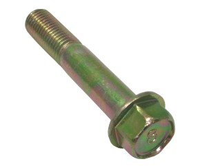 BOLT,FLANGE 10X55