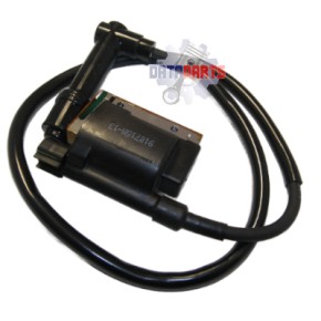 IGNITION COIL, R. CYN.(W/910715Y)